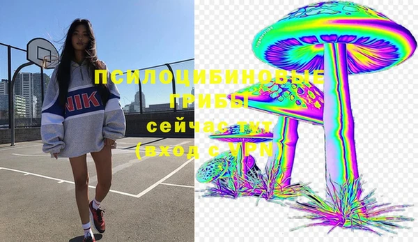 мет Алексин