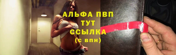мет Алексин